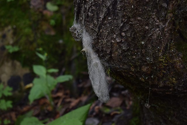 DSC_0124.jpg