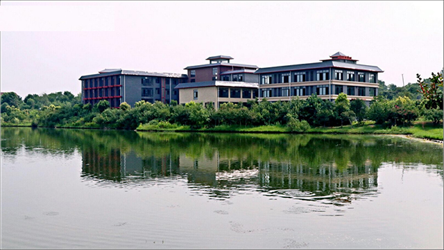 组合-42.jpg